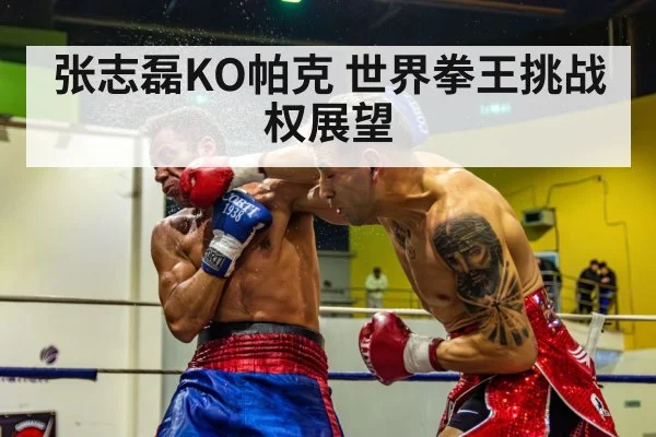 张志磊KO帕克 世界拳王挑战权展望
