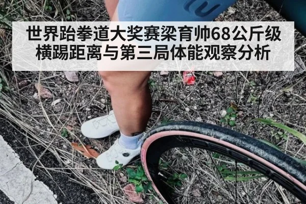 世界跆拳道大奖赛梁育帅68公斤级横踢距离与第三局体能观察分析